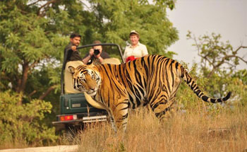 Sathee Cabs Tour And Travels - Jaipur